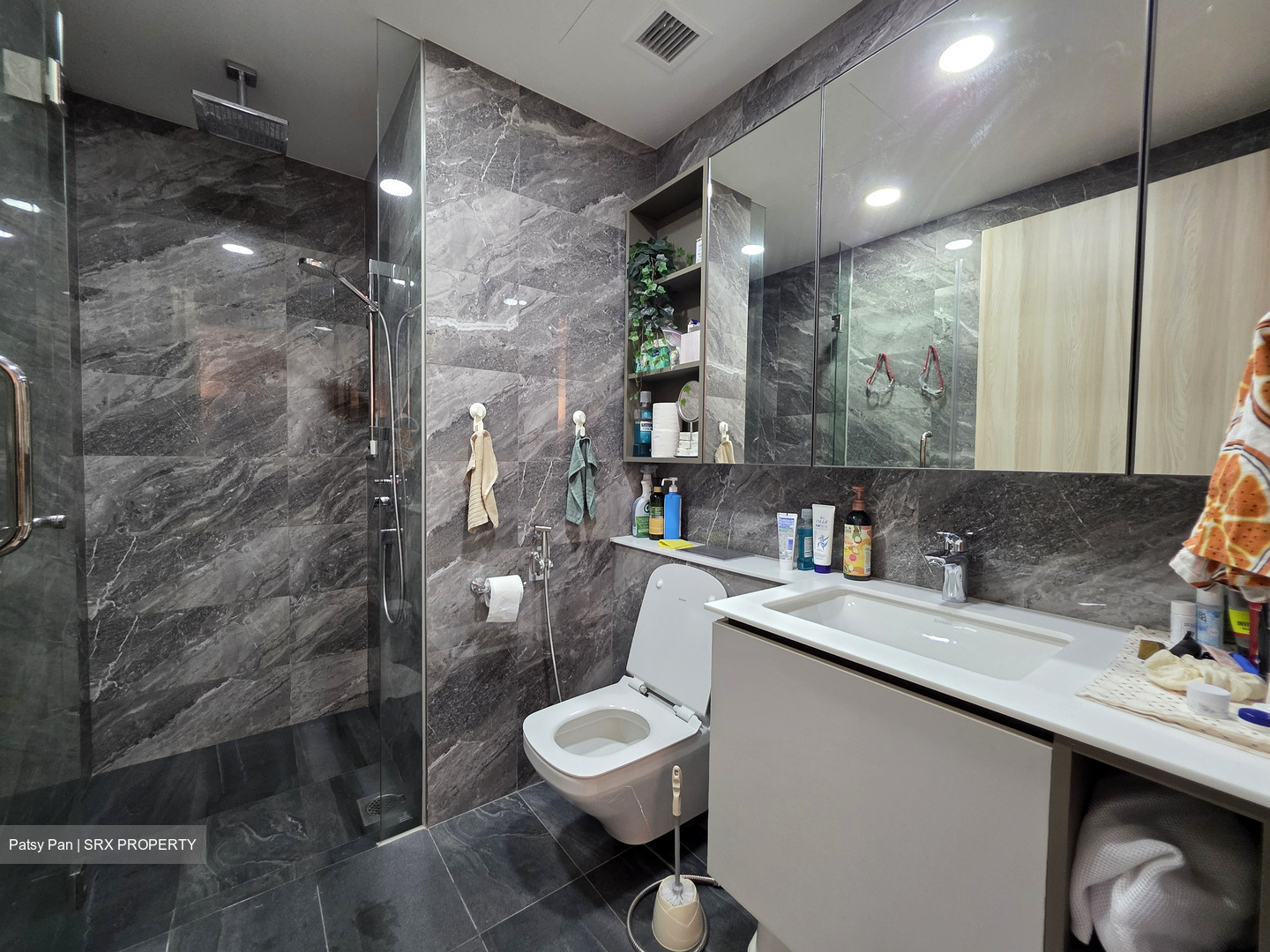 Sengkang Grand Residences (D19), Apartment #527638691